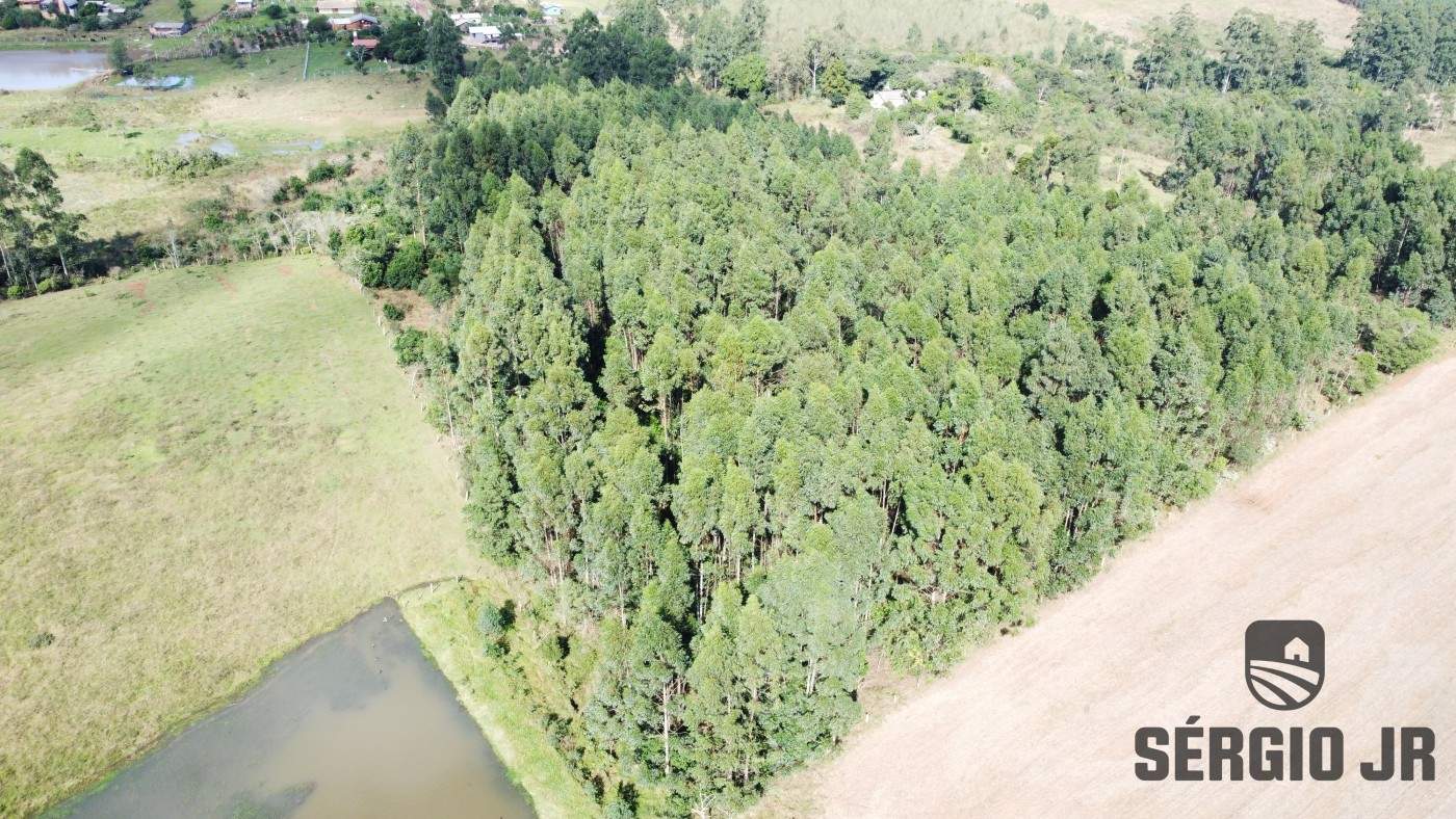 Loteamento e Condomínio, 10000 m² - Foto 8