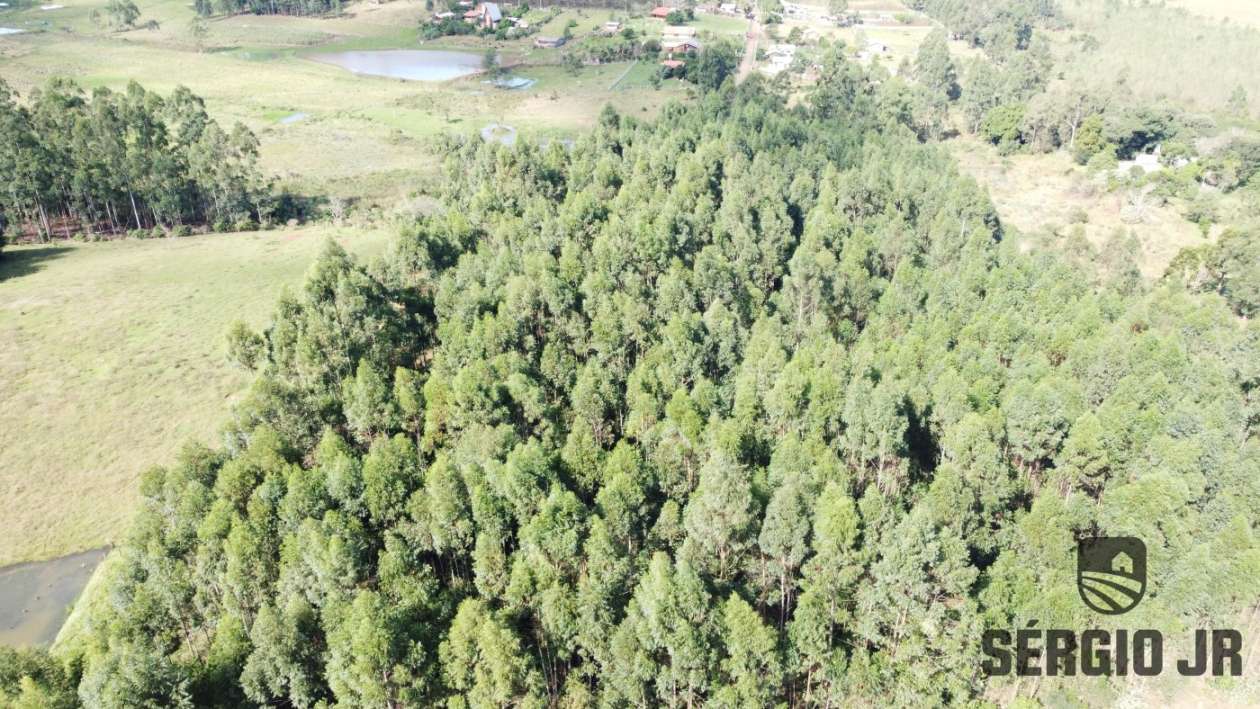 Loteamento e Condomínio, 10000 m² - Foto 9