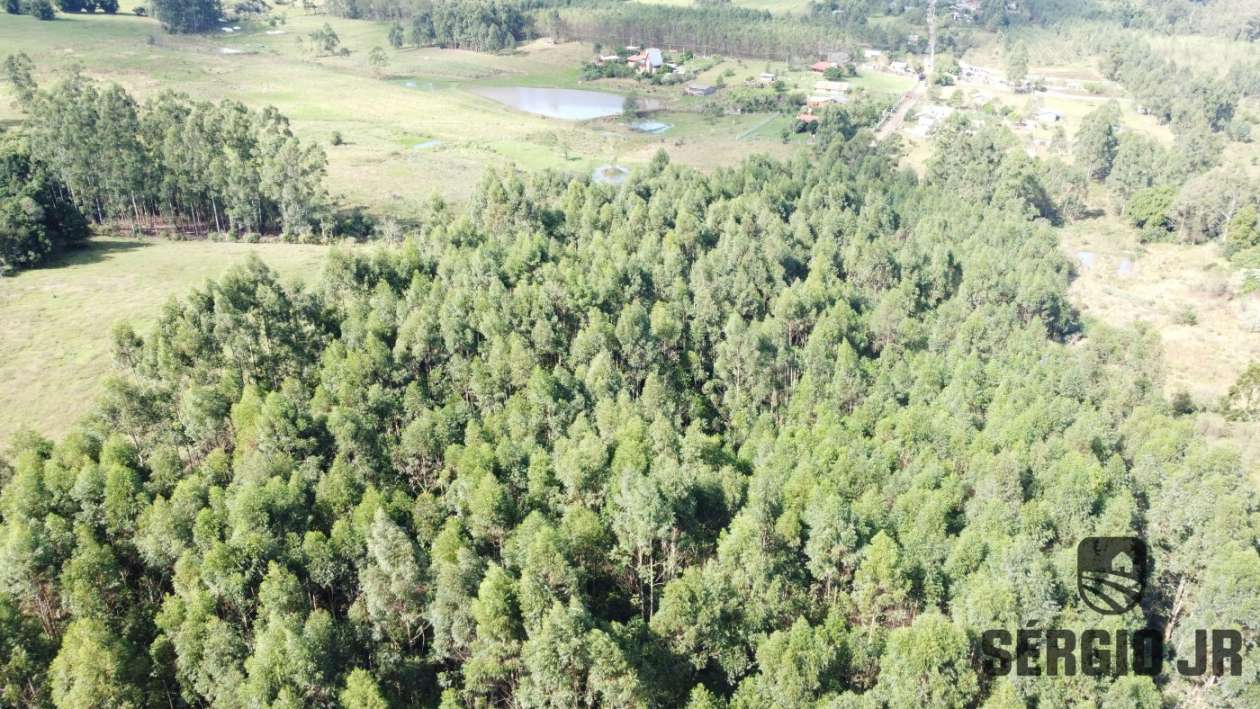 Loteamento e Condomínio, 10000 m² - Foto 10