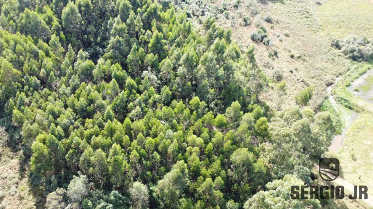 Loteamento e Condomínio, 10000 m² - Foto 16