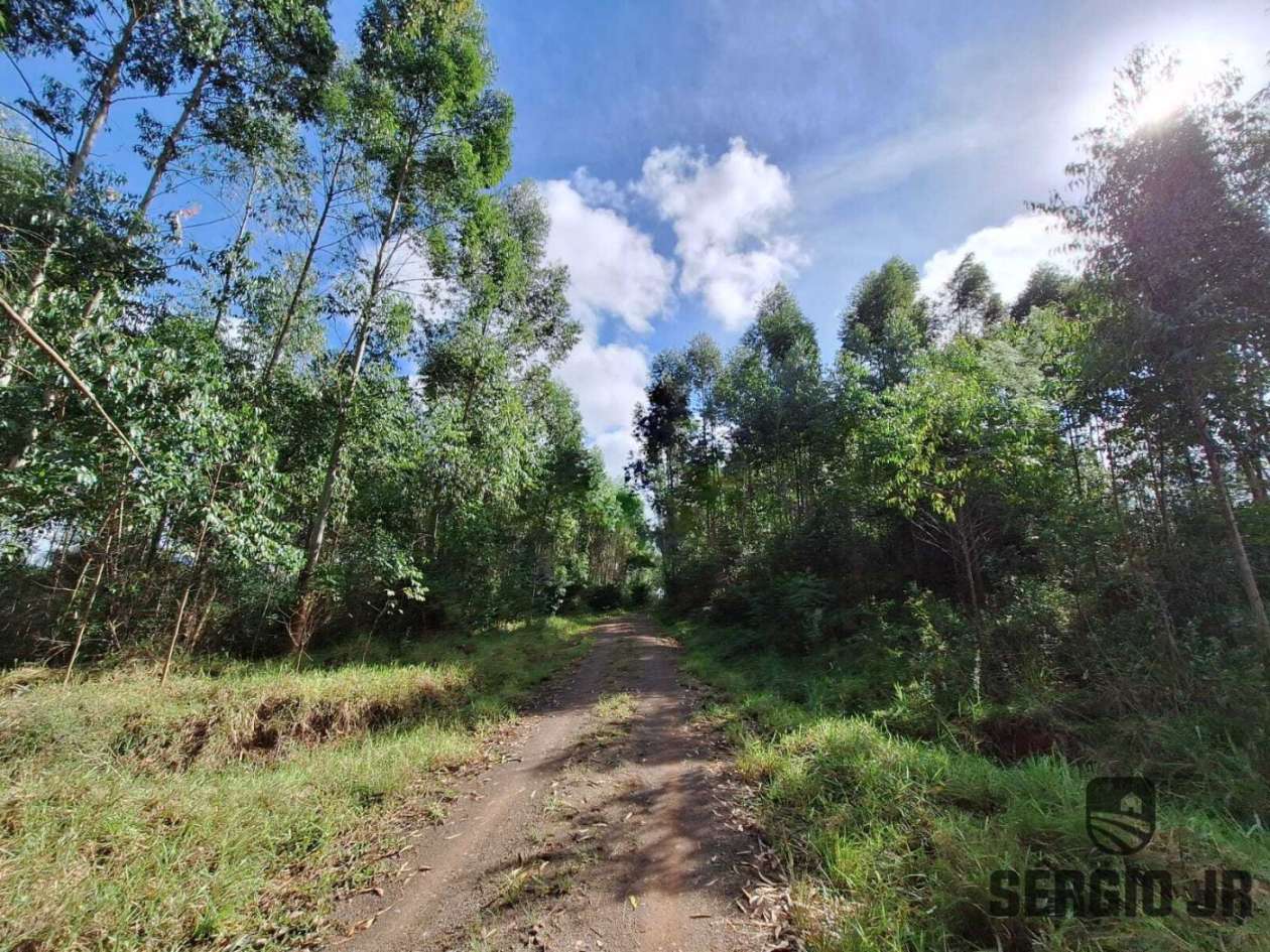 Loteamento e Condomínio, 10000 m² - Foto 17