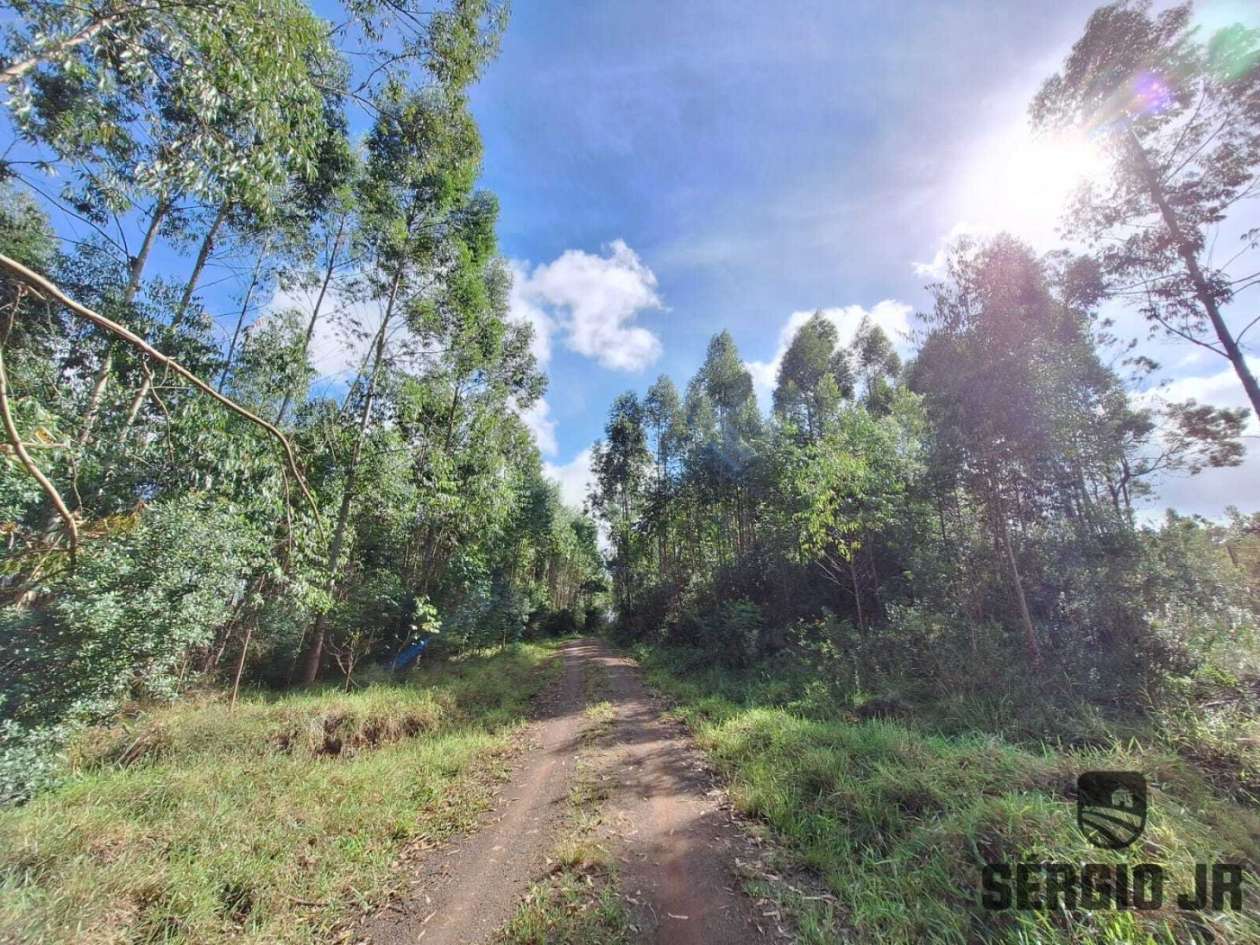 Loteamento e Condomínio, 10000 m² - Foto 21