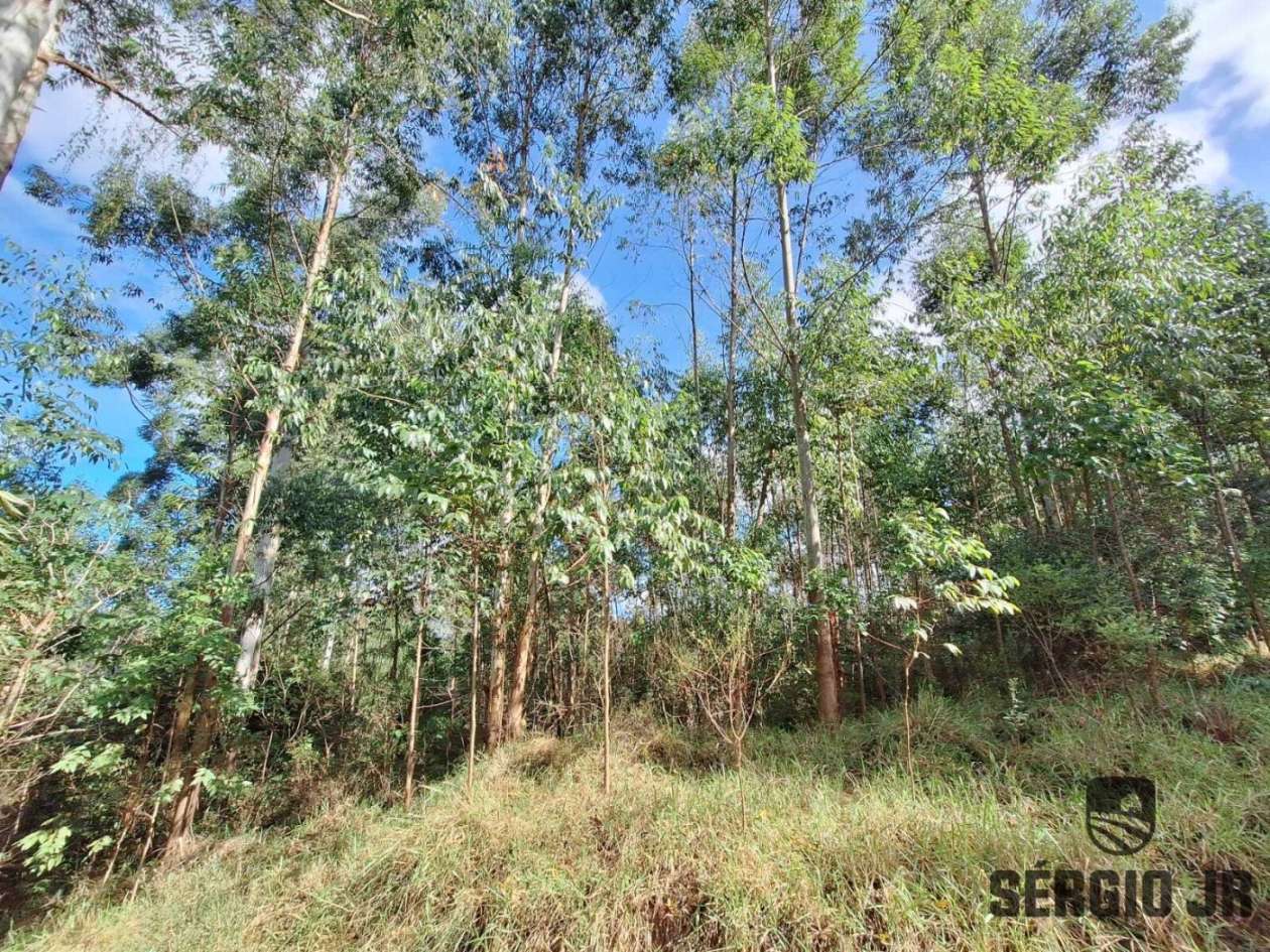 Loteamento e Condomínio, 10000 m² - Foto 19