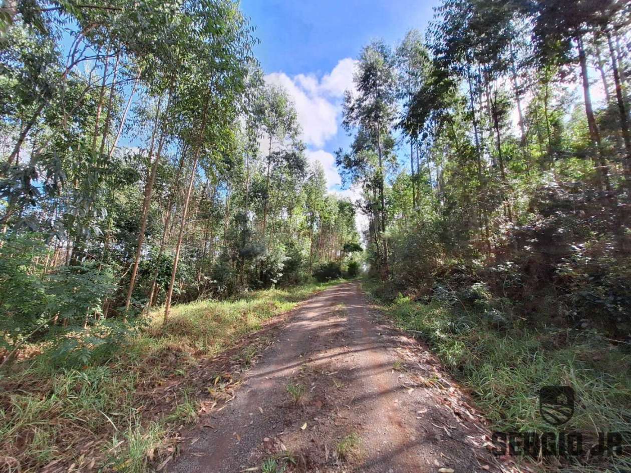 Loteamento e Condomínio, 10000 m² - Foto 20