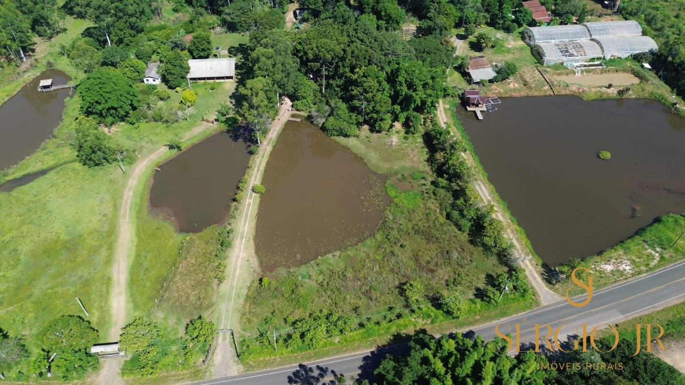 Chácara, 2 quartos, 4 hectares - Foto 2