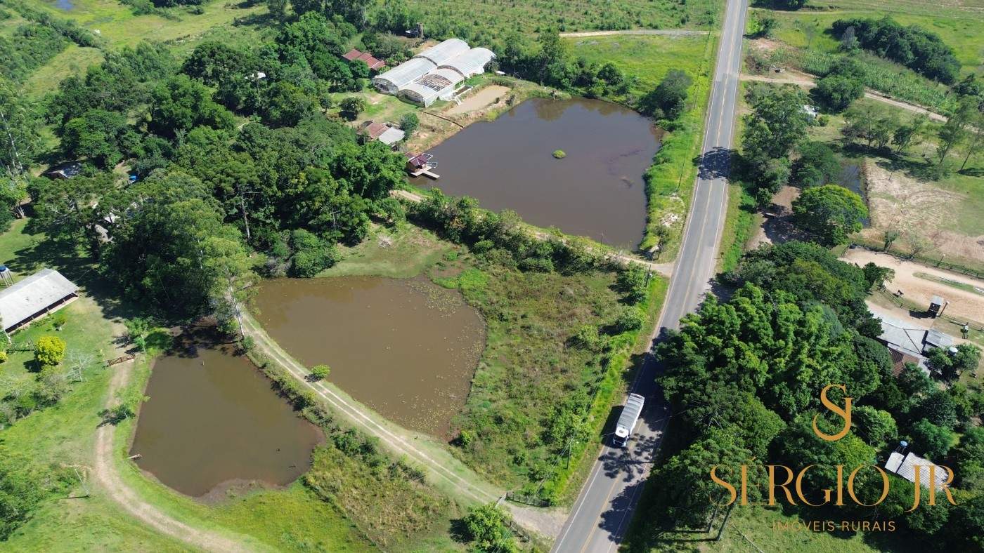 Chácara, 2 quartos, 4 hectares - Foto 3