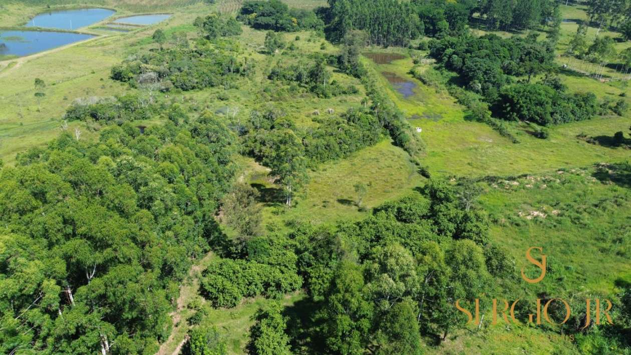 Chácara, 2 quartos, 4 hectares - Foto 4