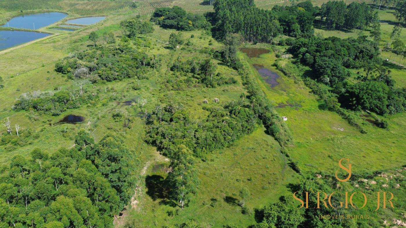 Chácara, 2 quartos, 4 hectares - Foto 5