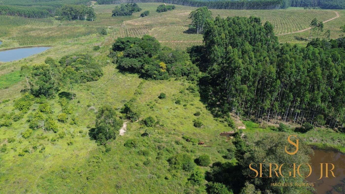 Chácara, 2 quartos, 4 hectares - Foto 6