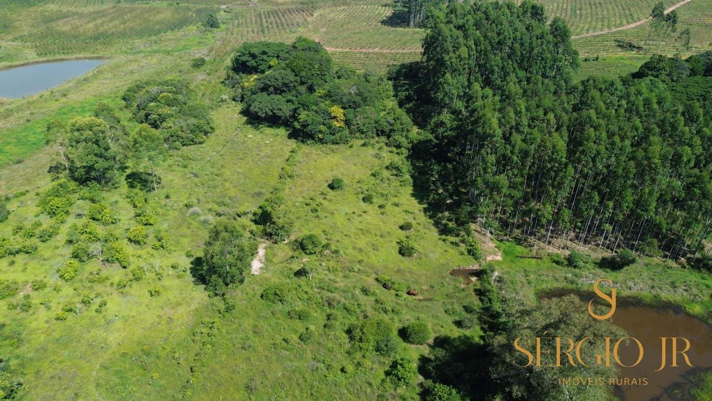 Chácara, 2 quartos, 4 hectares - Foto 7