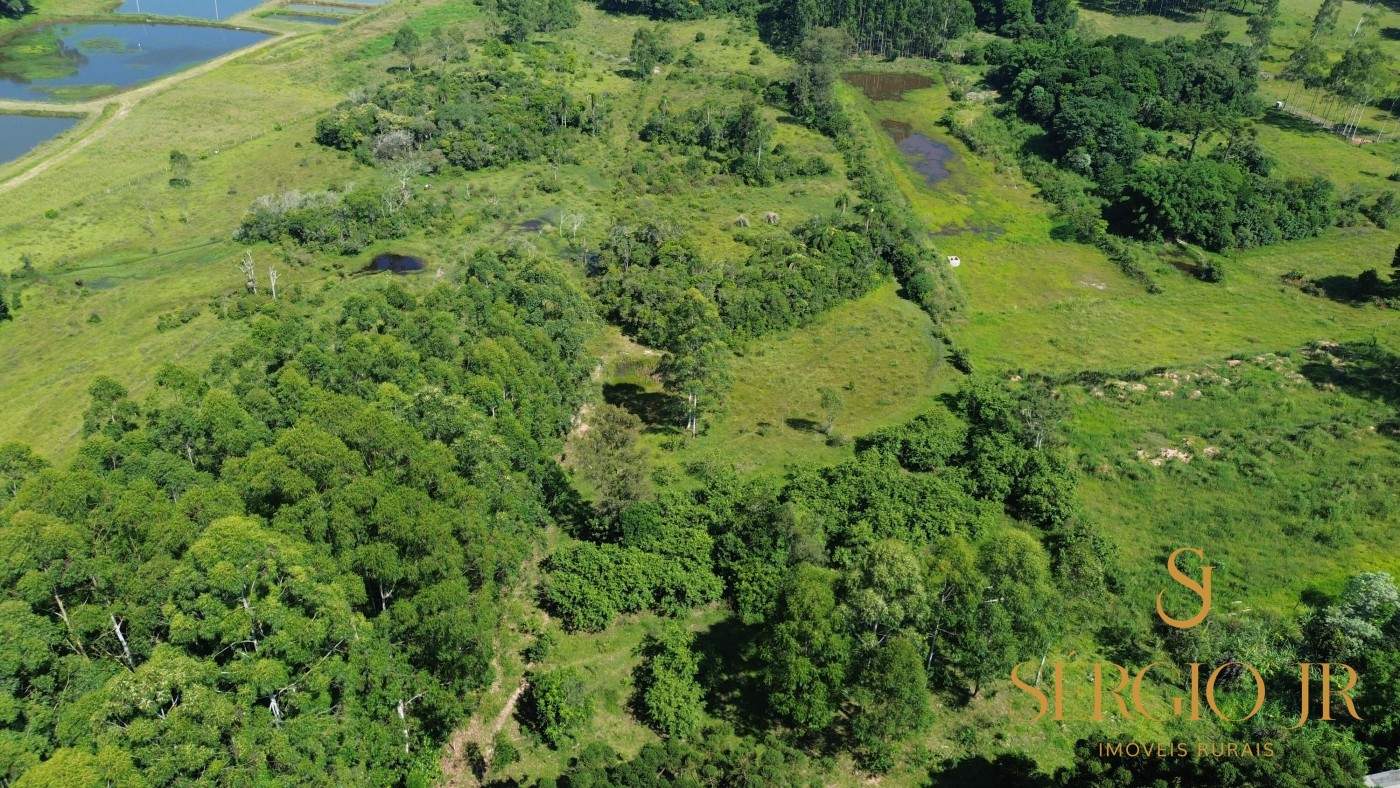 Chácara, 2 quartos, 4 hectares - Foto 10