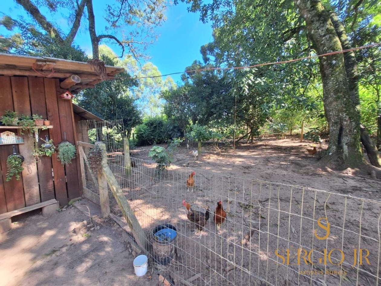 Chácara, 2 quartos, 4 hectares - Foto 18