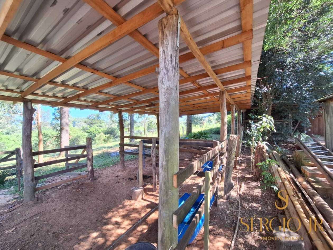 Chácara, 2 quartos, 4 hectares - Foto 22