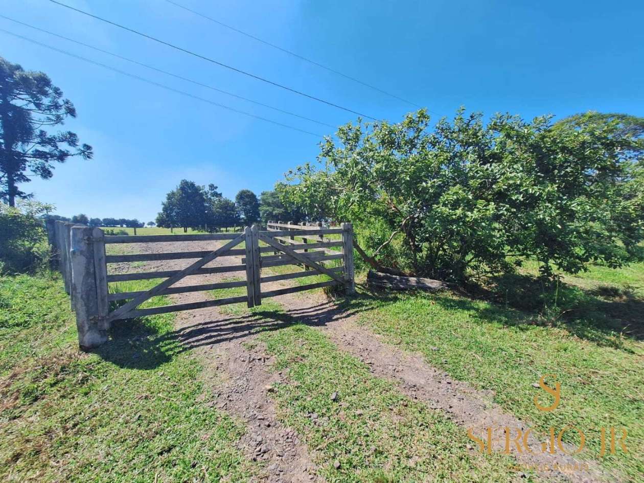 Chácara, 2 quartos, 4 hectares - Foto 35