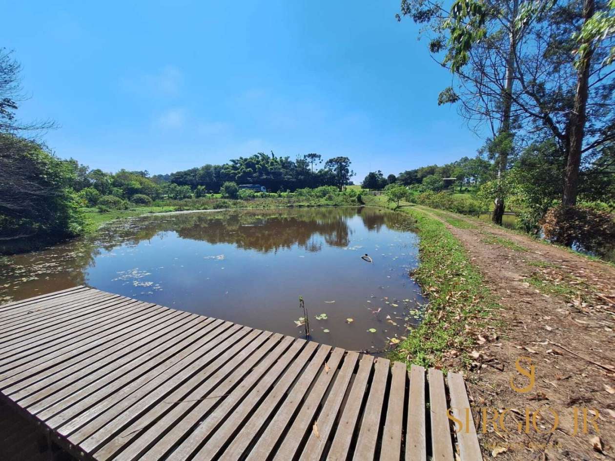 Chácara, 2 quartos, 4 hectares - Foto 34