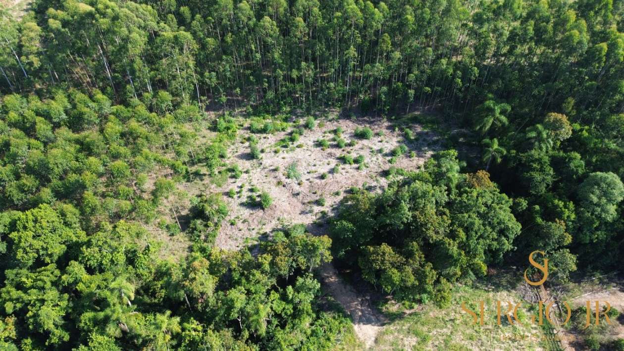 Loteamento e Condomínio, 5000 m² - Foto 4