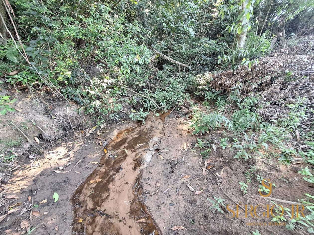 Loteamento e Condomínio, 5000 m² - Foto 24