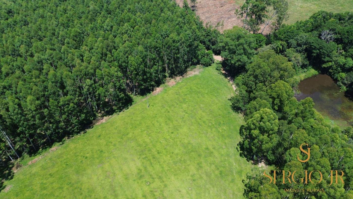 Chácara, 4 quartos, 5 hectares - Foto 4