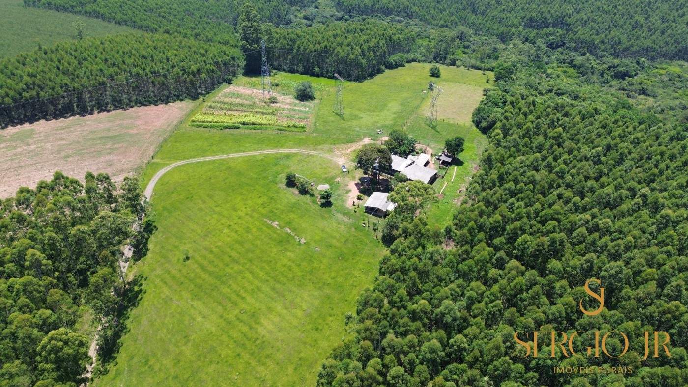 Chácara, 4 quartos, 5 hectares - Foto 5