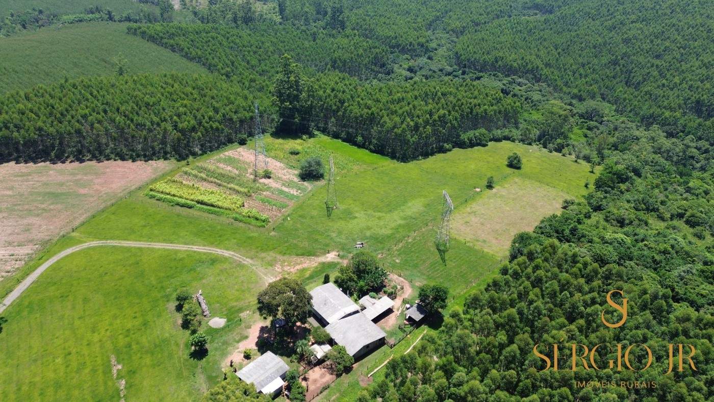 Chácara, 4 quartos, 5 hectares - Foto 6