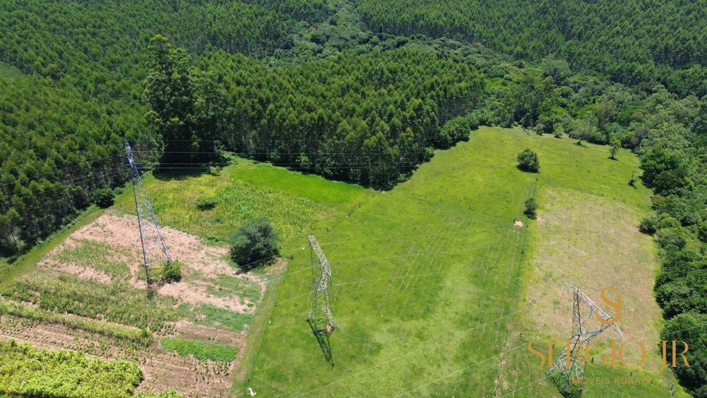 Chácara, 4 quartos, 5 hectares - Foto 7