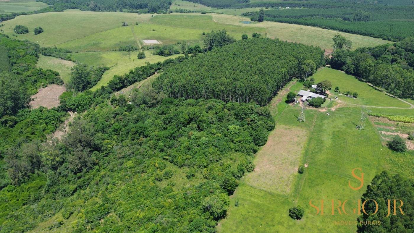 Chácara, 4 quartos, 5 hectares - Foto 8