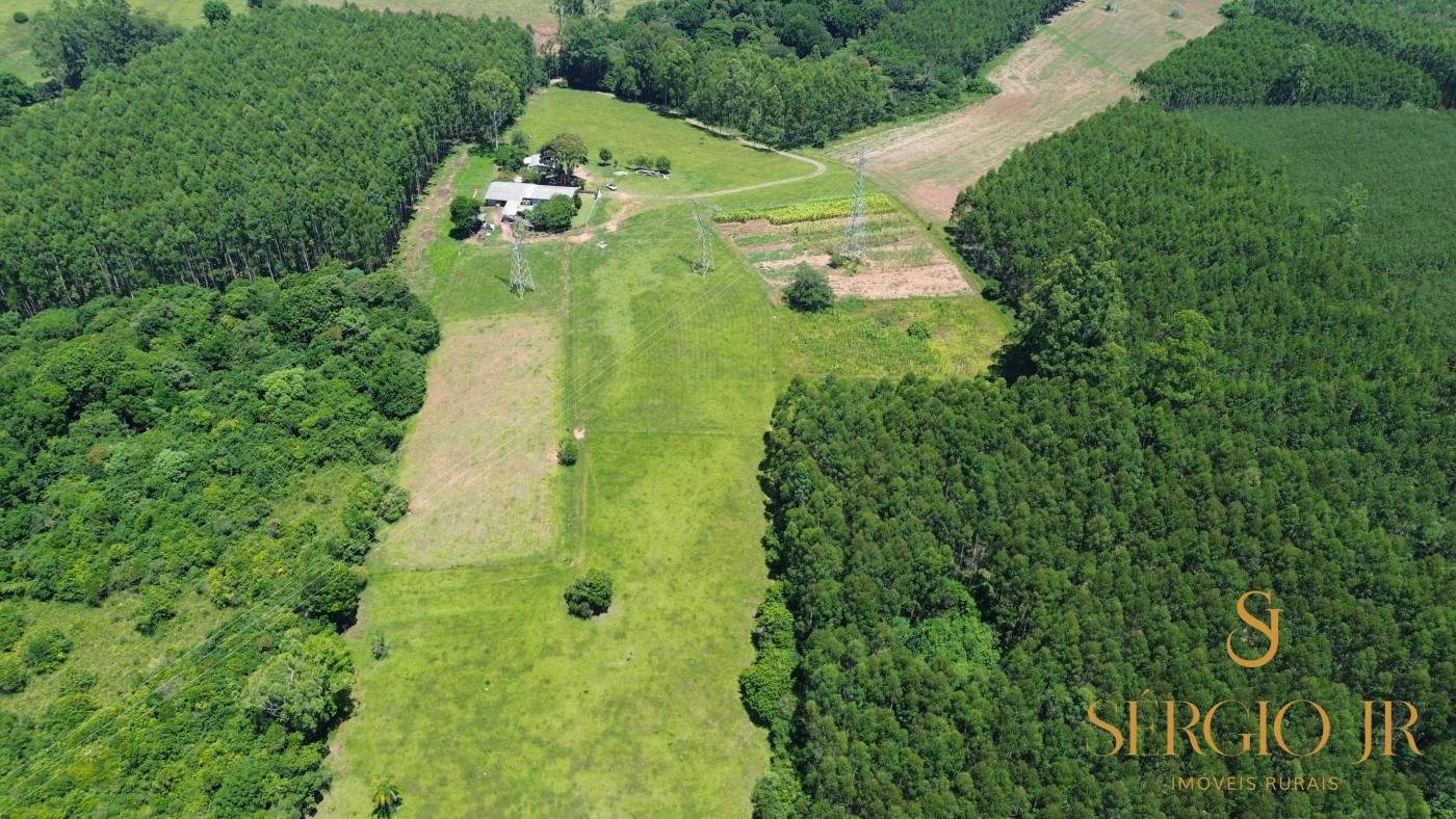 Chácara, 4 quartos, 5 hectares - Foto 9