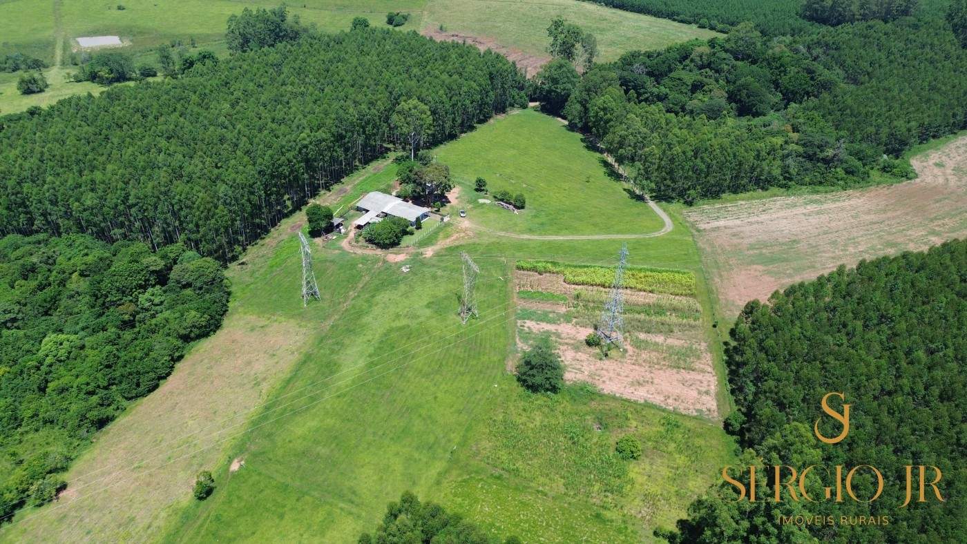 Chácara, 4 quartos, 5 hectares - Foto 10