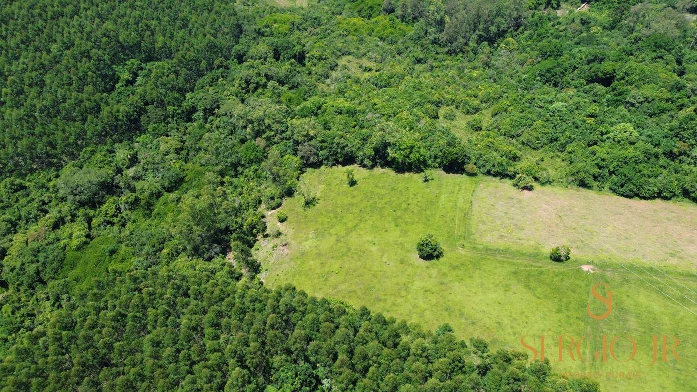 Chácara, 4 quartos, 5 hectares - Foto 11