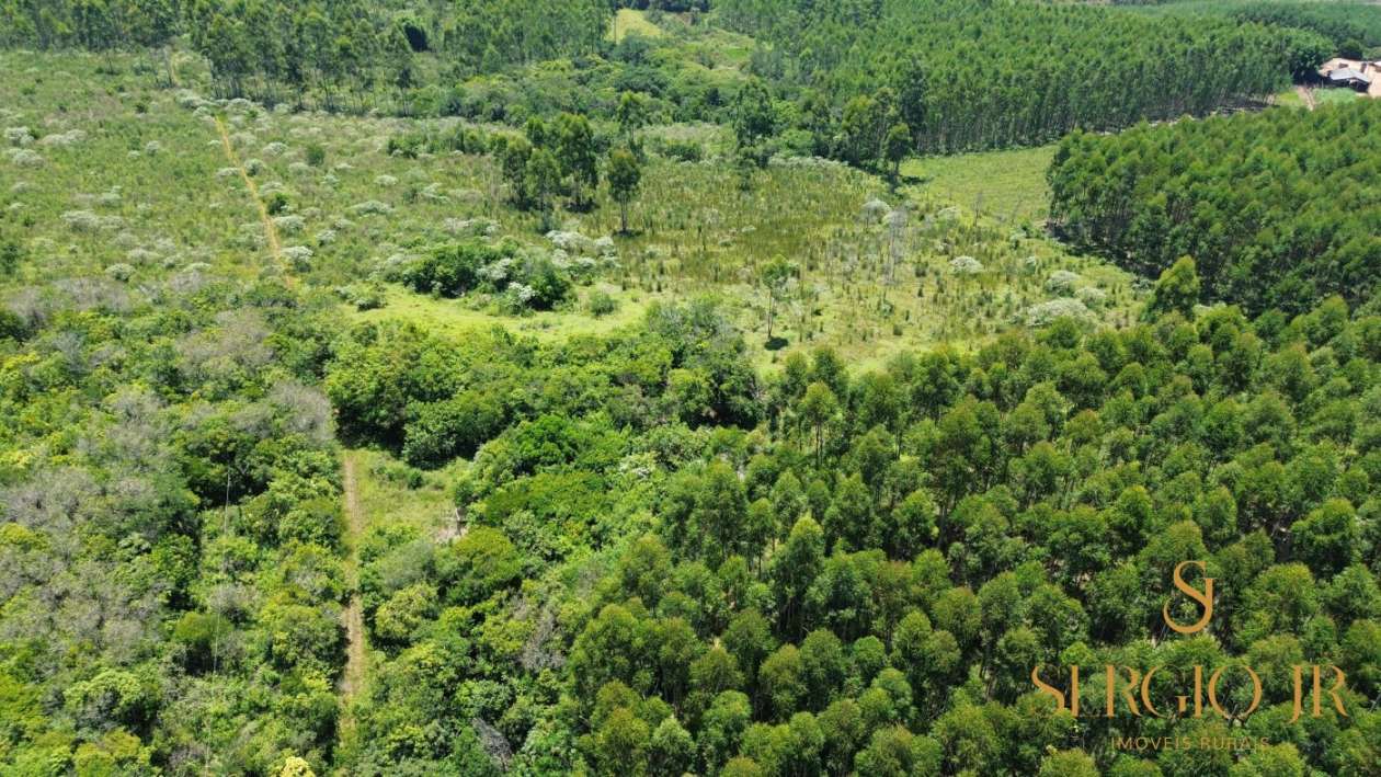 Chácara, 4 quartos, 5 hectares - Foto 13