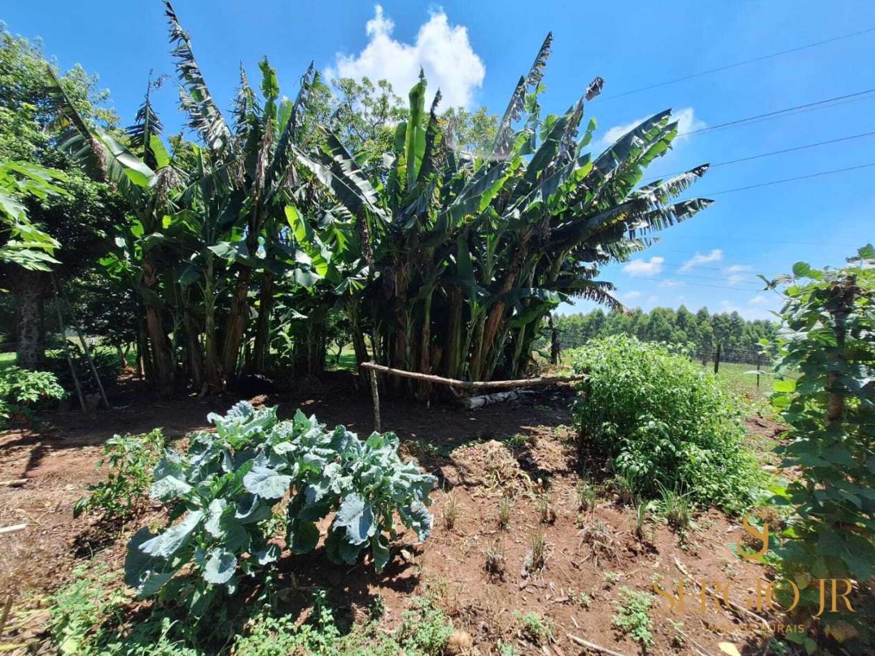 Chácara, 4 quartos, 5 hectares - Foto 27