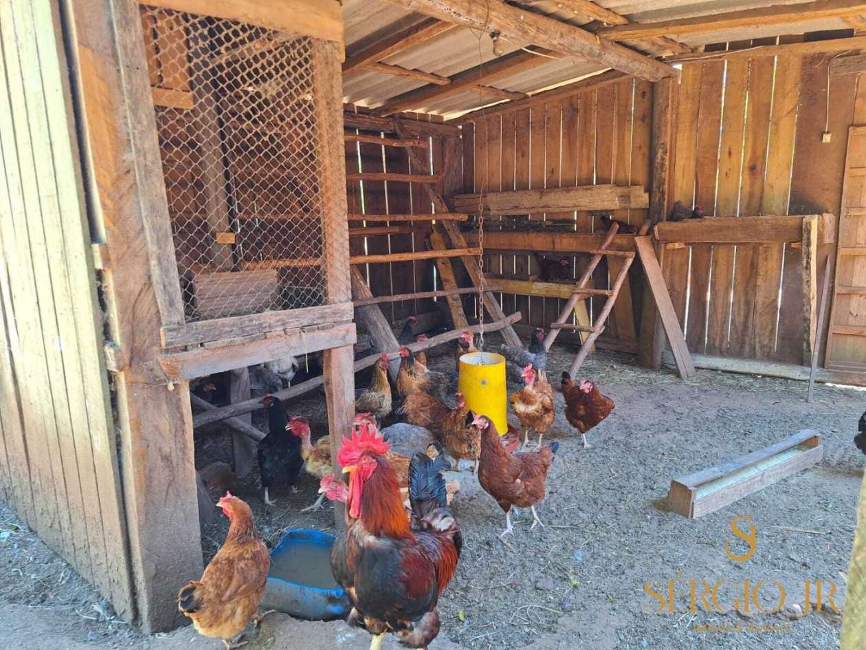 Chácara, 4 quartos, 5 hectares - Foto 32