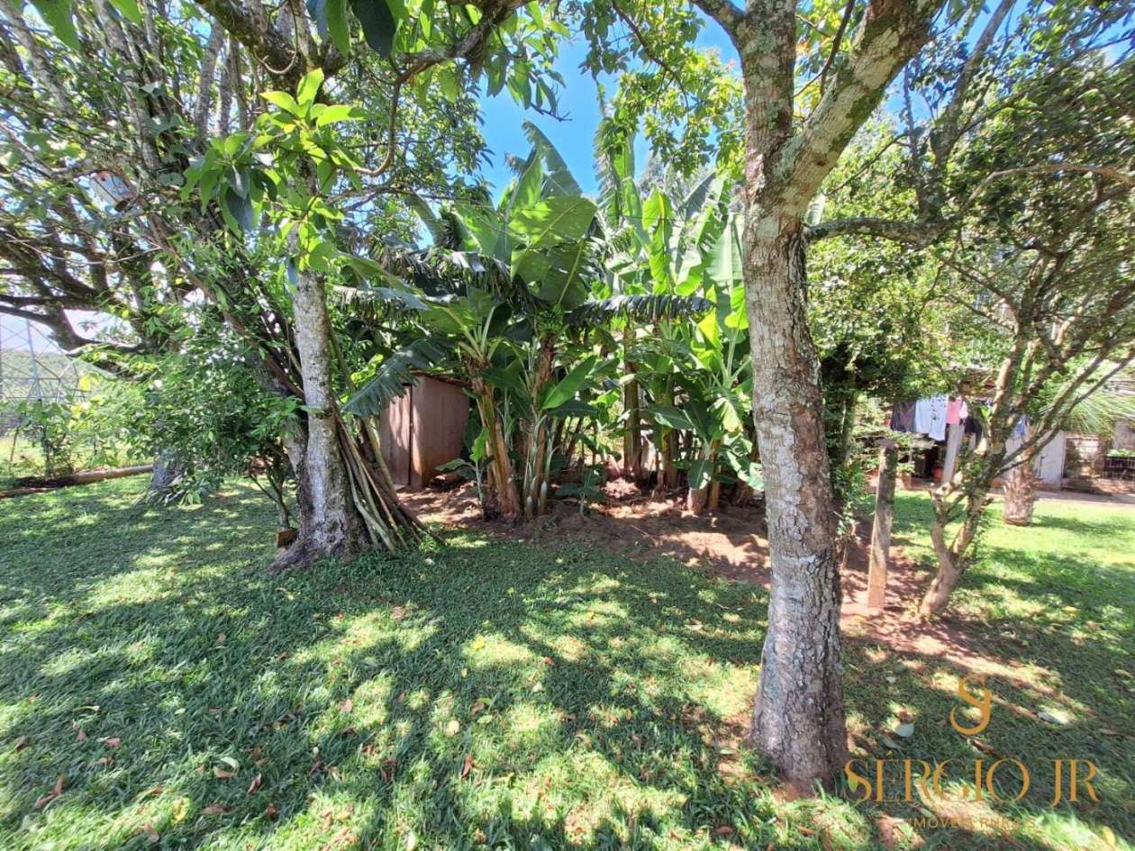 Chácara, 4 quartos, 5 hectares - Foto 33