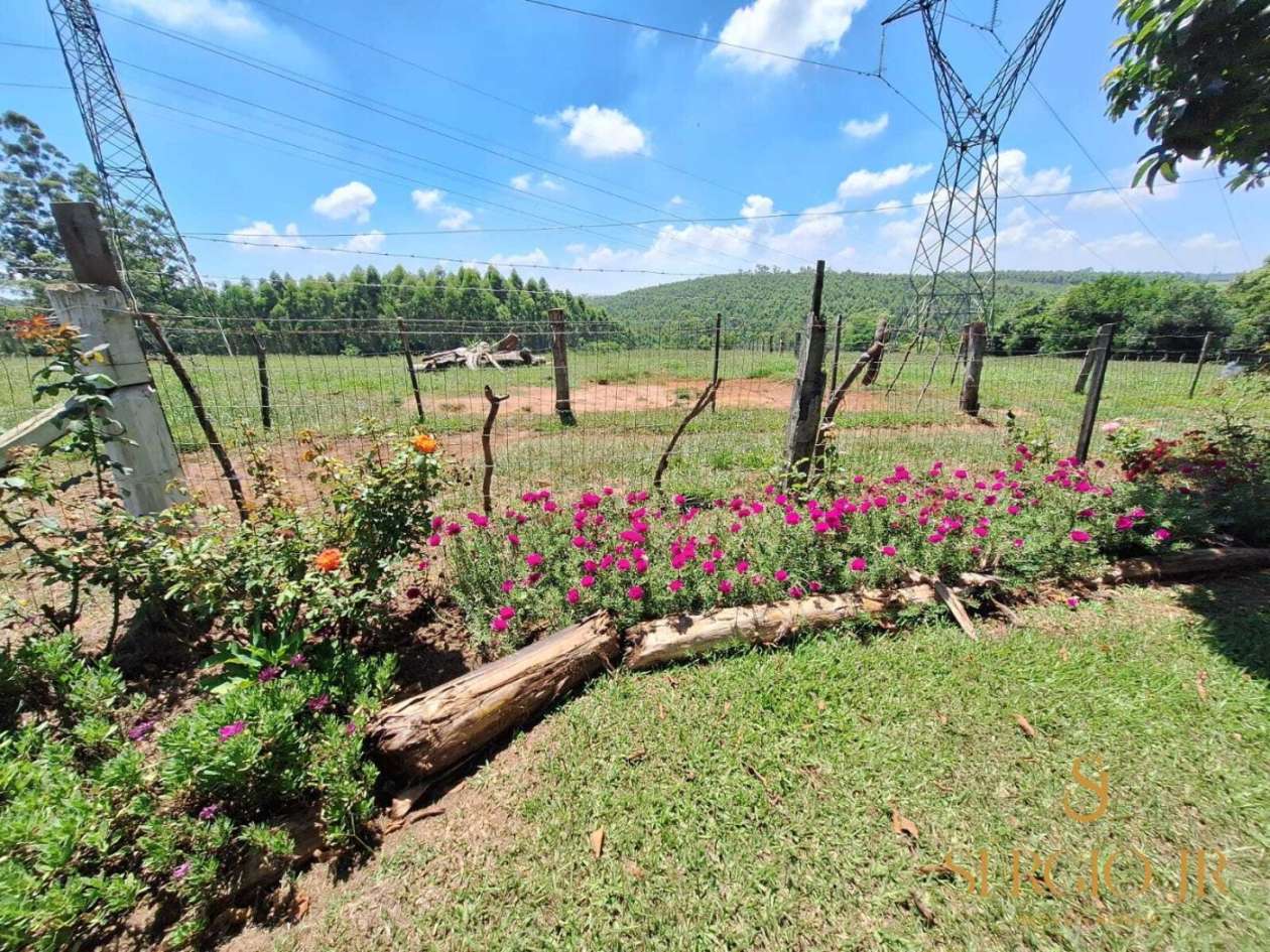 Chácara, 4 quartos, 5 hectares - Foto 35