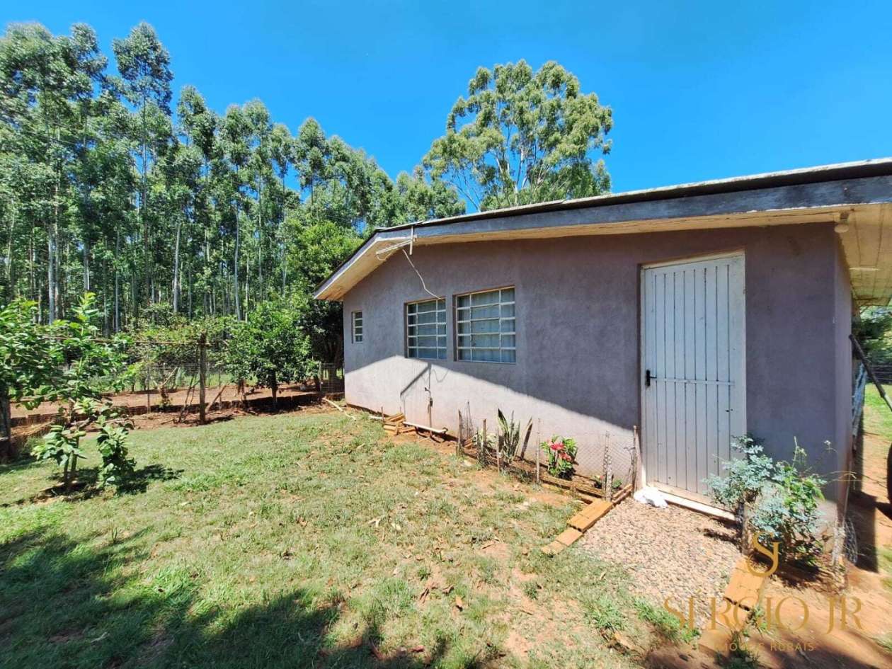 Chácara, 4 quartos, 5 hectares - Foto 38