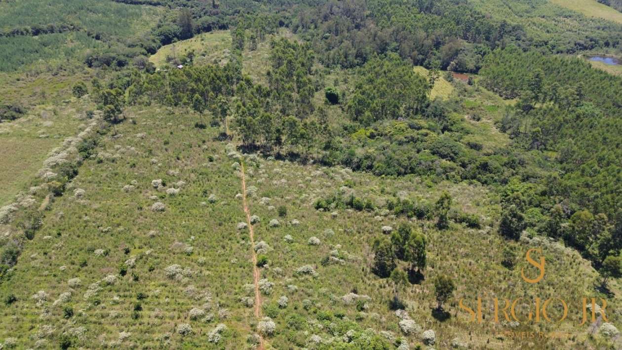 Loteamento e Condomínio, 13 hectares - Foto 2
