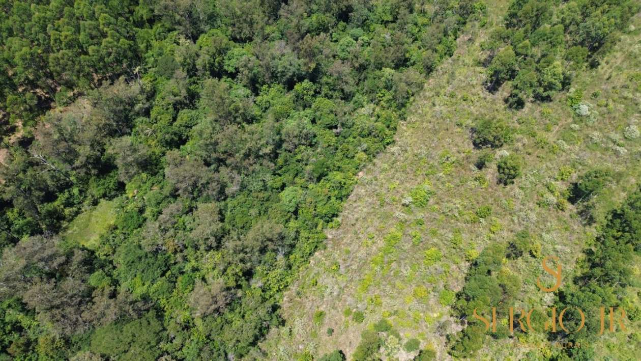 Loteamento e Condomínio, 13 hectares - Foto 6