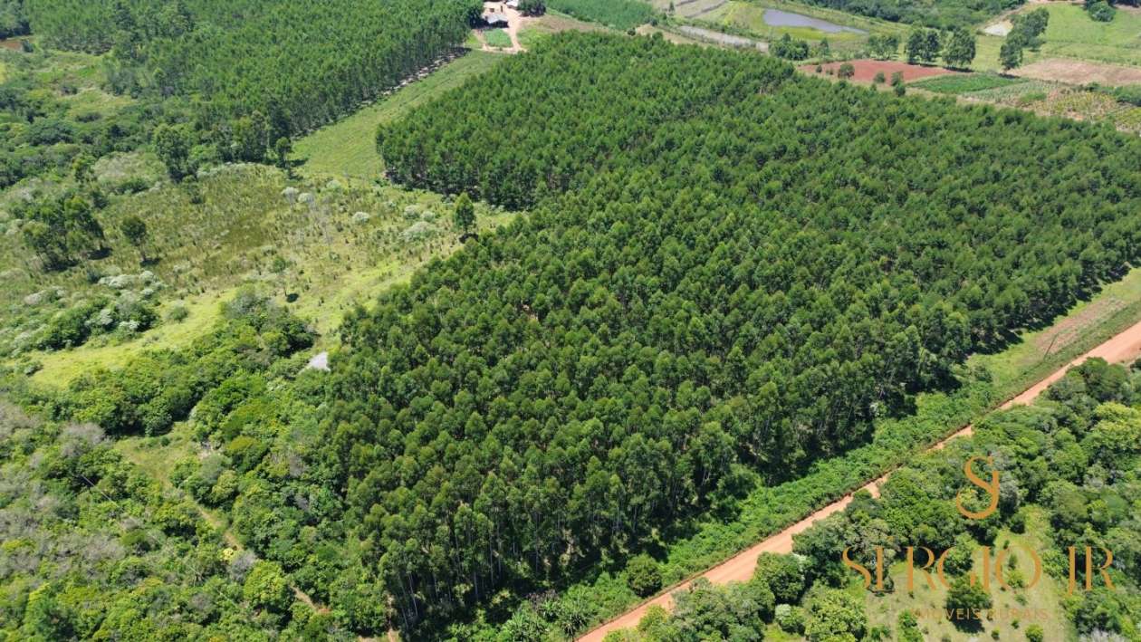 Loteamento e Condomínio, 13 hectares - Foto 13