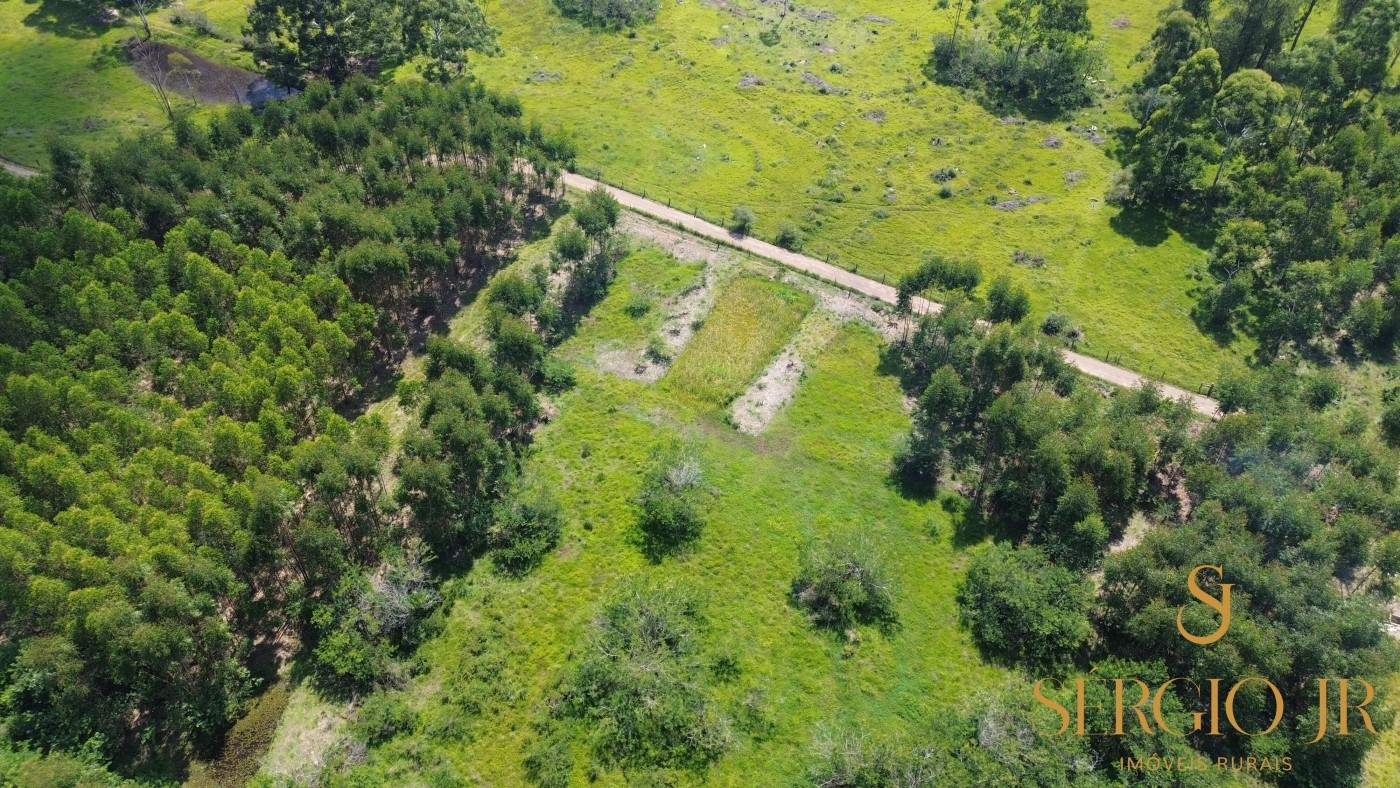 Chácara, 1 quarto, 2 hectares - Foto 2