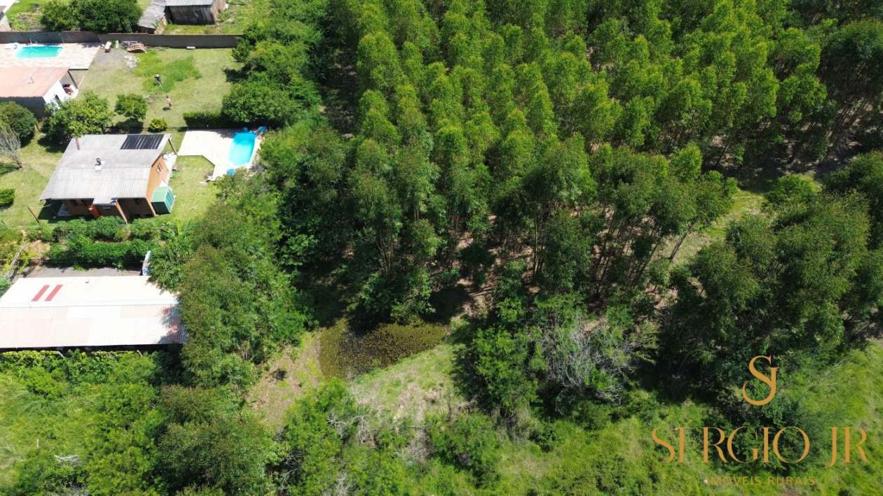 Chácara, 1 quarto, 2 hectares - Foto 3