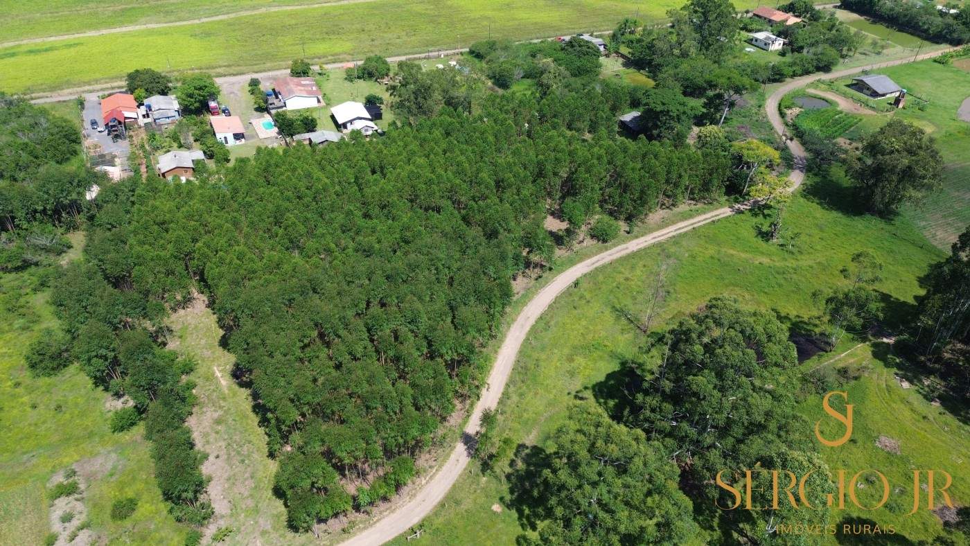 Chácara, 1 quarto, 2 hectares - Foto 4