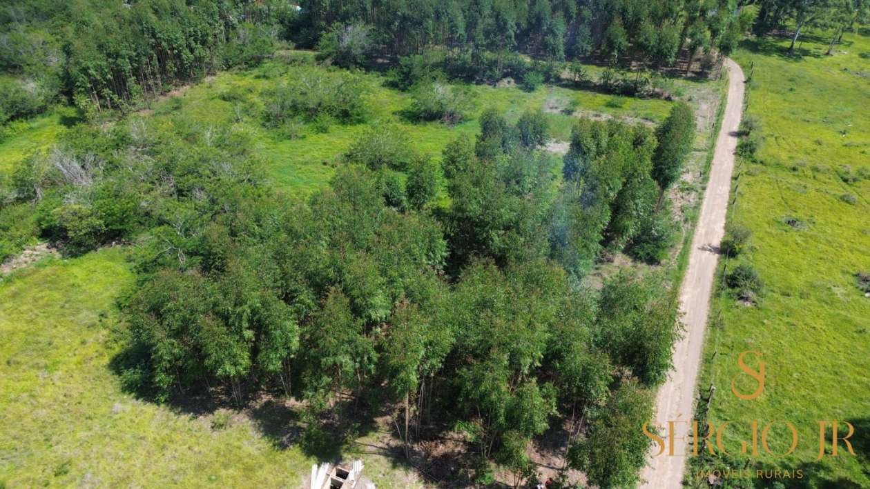 Chácara, 1 quarto, 2 hectares - Foto 10