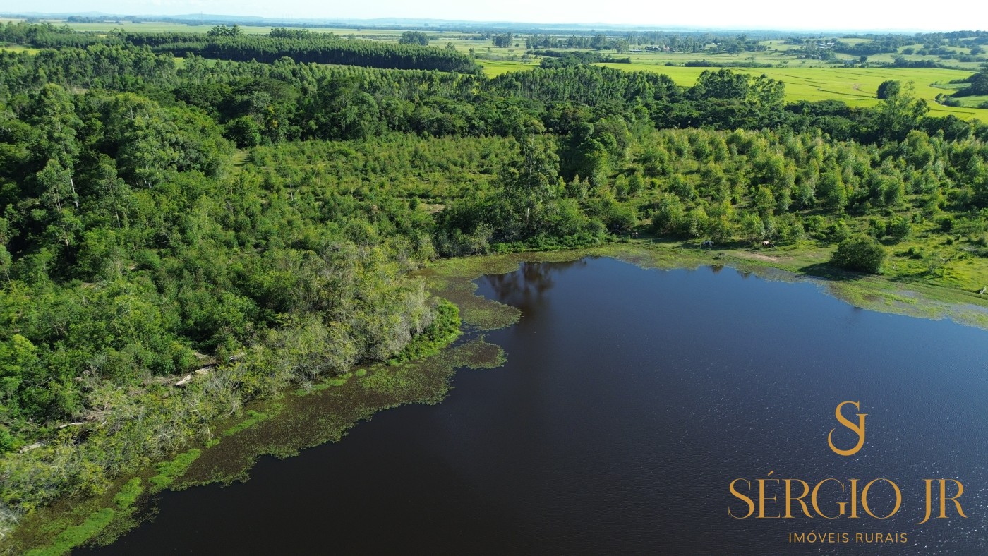 Chácara, 3 quartos, 12 hectares - Foto 13