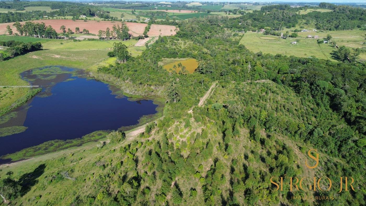 Chácara, 3 quartos, 12 hectares - Foto 23