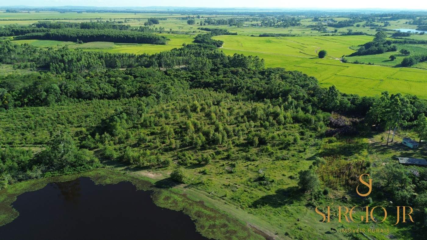 Chácara, 3 quartos, 12 hectares - Foto 24