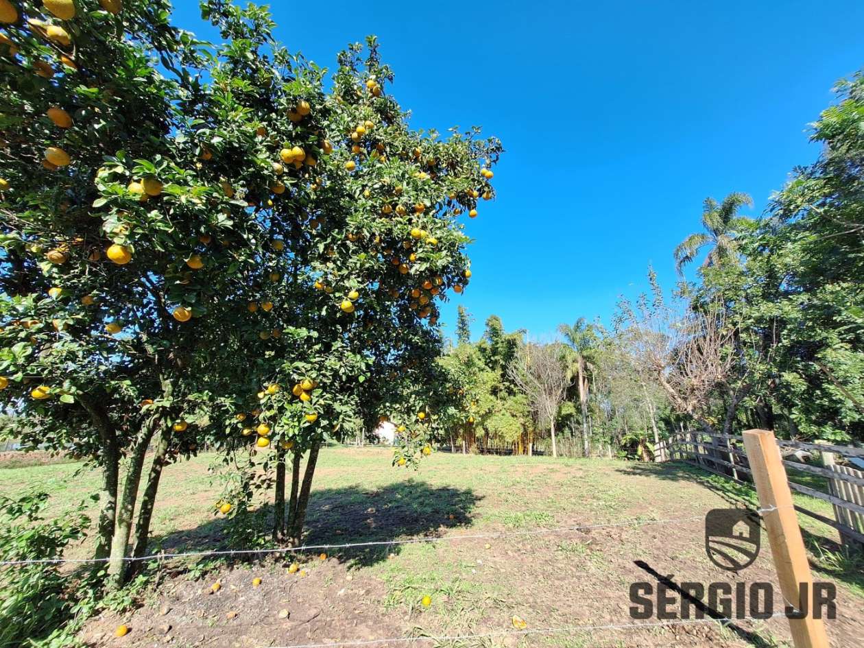 Chácara, 3 quartos, 6400 m² - Foto 9