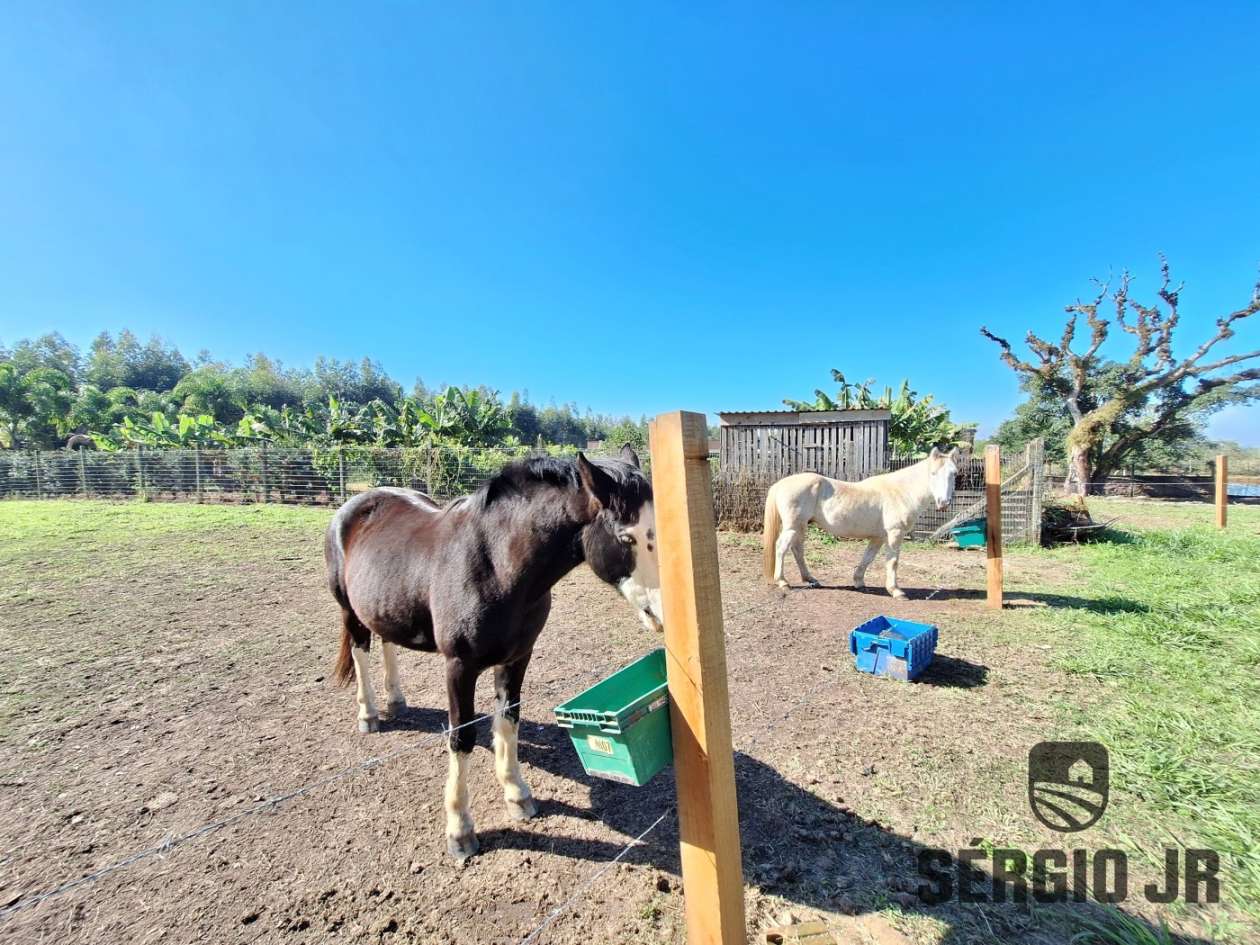 Chácara, 3 quartos, 6400 m² - Foto 10