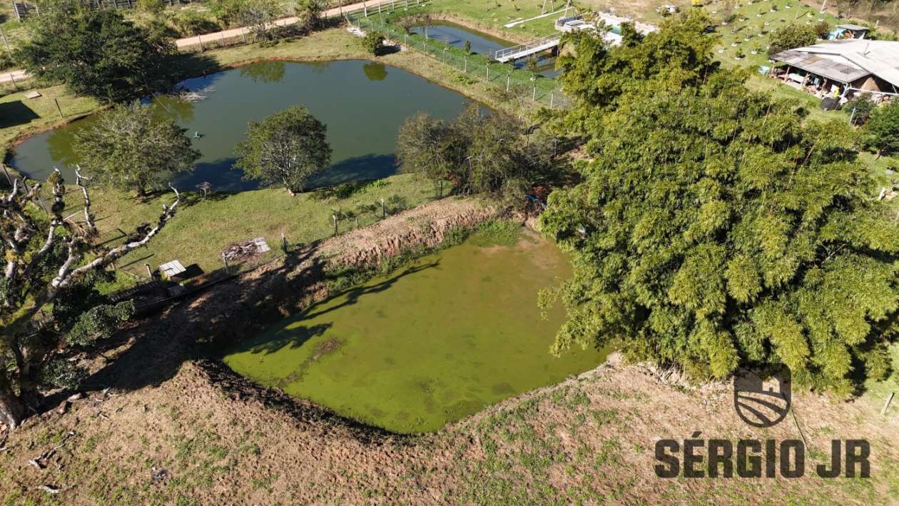 Chácara, 3 quartos, 6400 m² - Foto 17