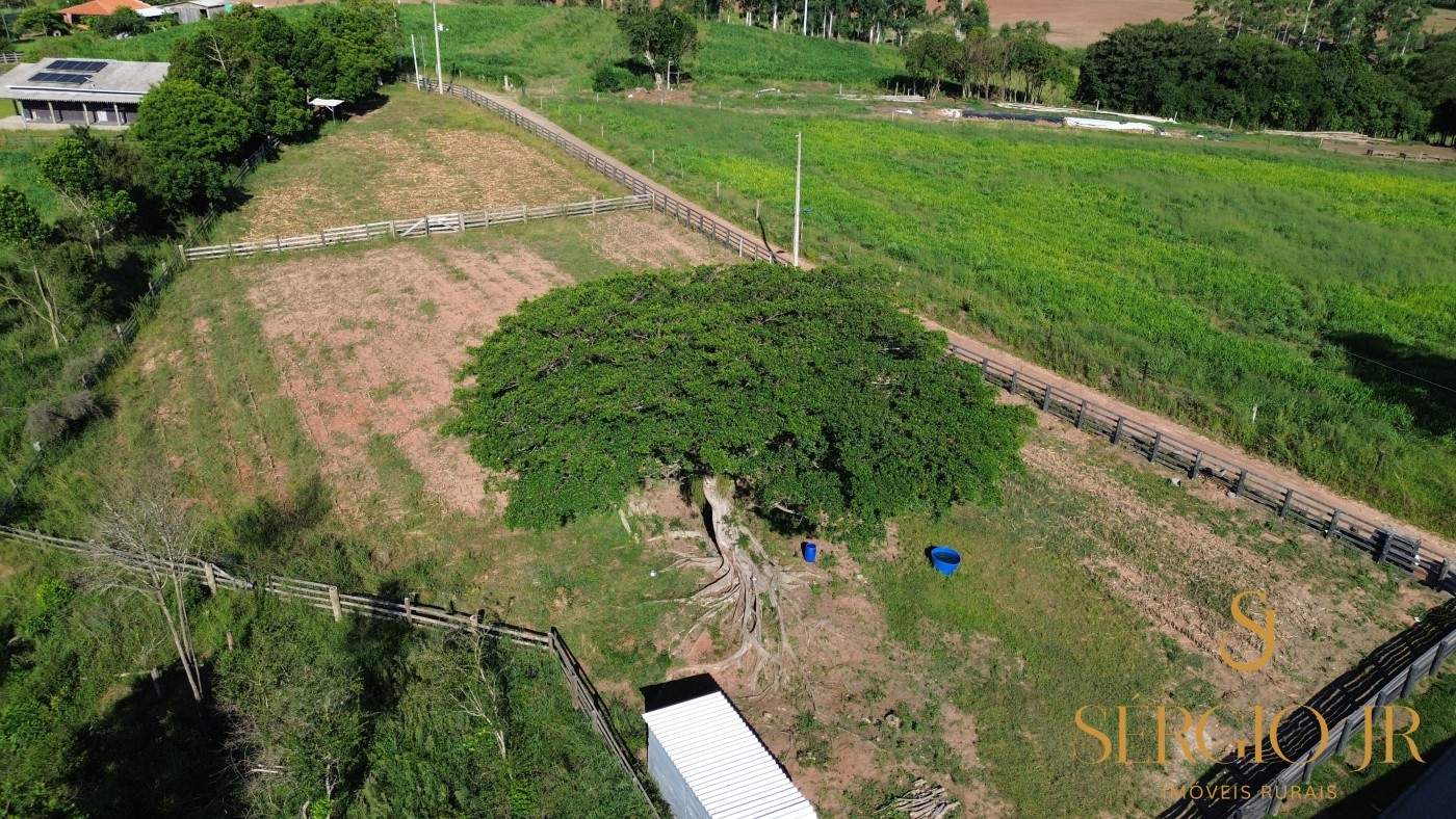 Chácara, 3 quartos, 4 hectares - Foto 5