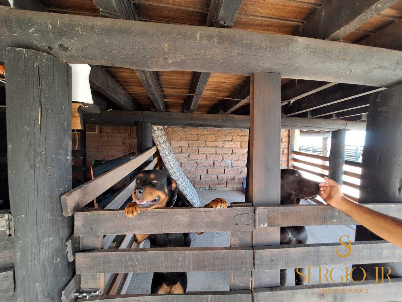 Chácara, 3 quartos, 4 hectares - Foto 22